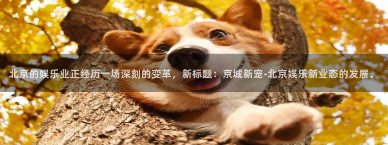 upload/20250701114914.jpg